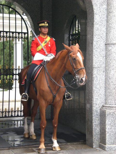 Royal guard, Malaysia
