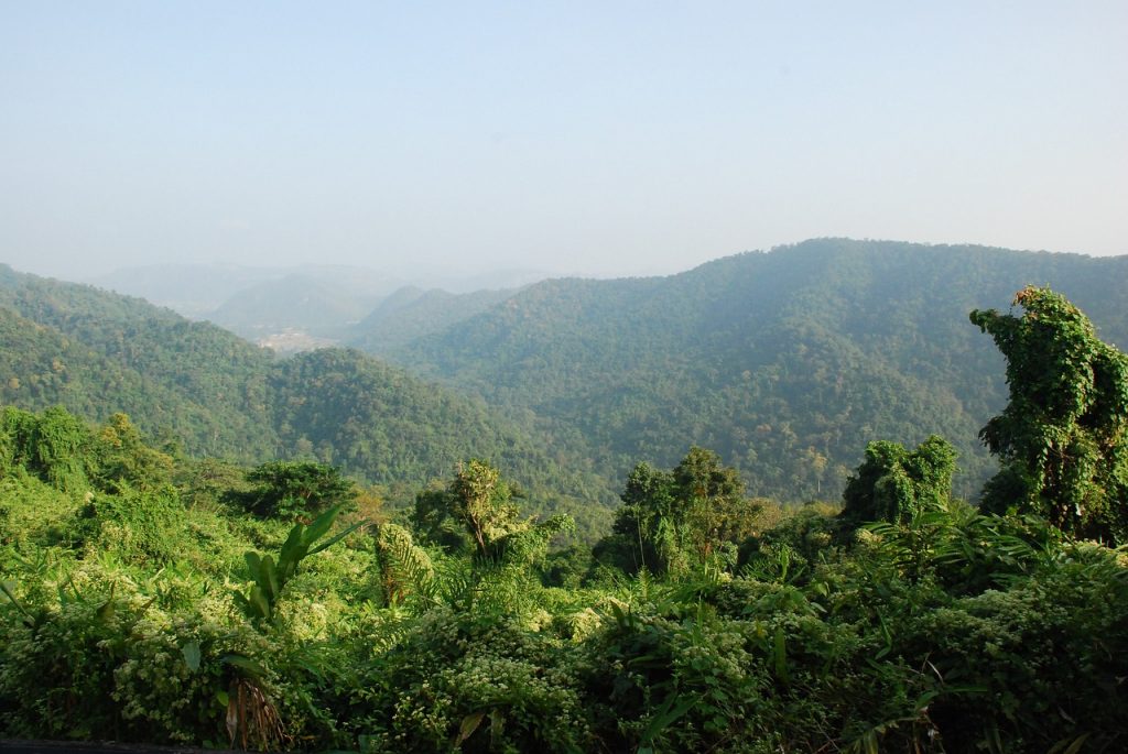 View over the Khao-Yai jungle