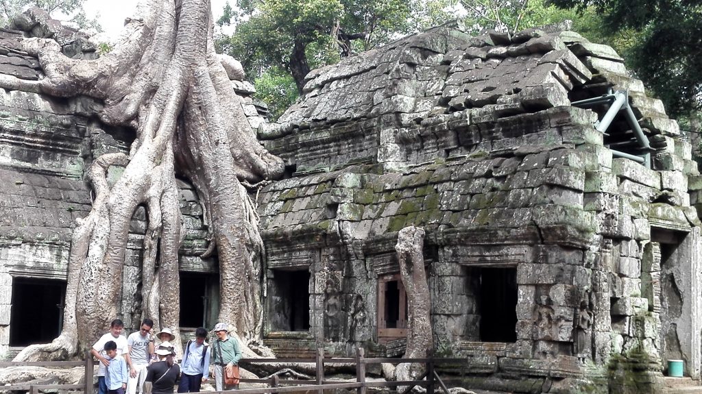 Ta Prohm temple at Angkor Wat, overgrown with tree trunks