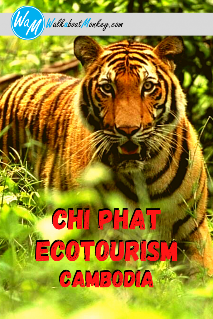 Pin "Chi Phat Ecotourism" to Pinterest