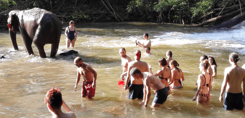 Elephant tour in Sen Monorom, Mondulkiri