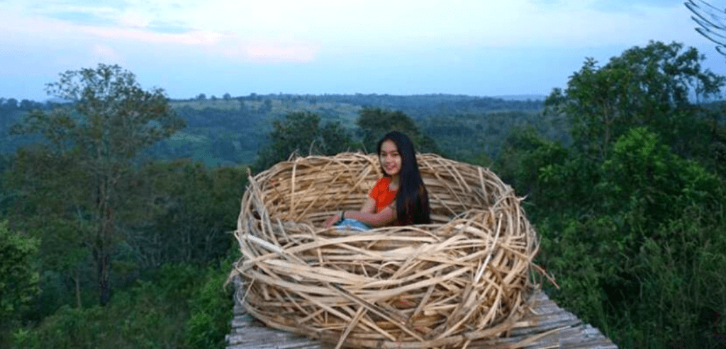 Phnombaichow sea forest in Mondulkiri