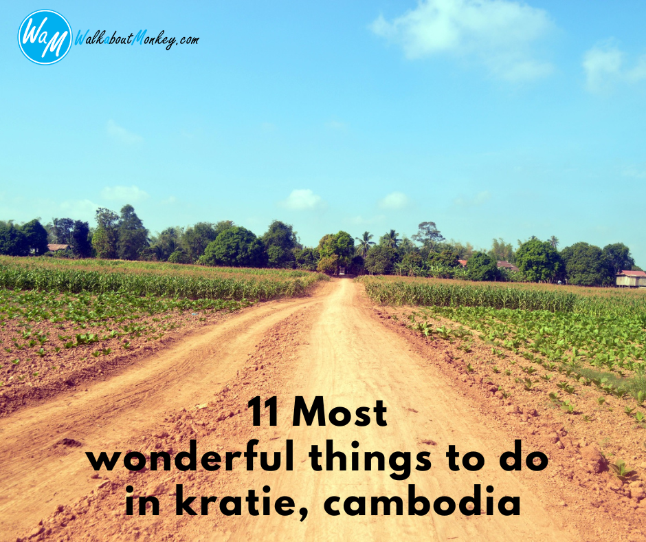 Link to 11 Most Wonderful Things to do in Kratie, Cambodia blog post