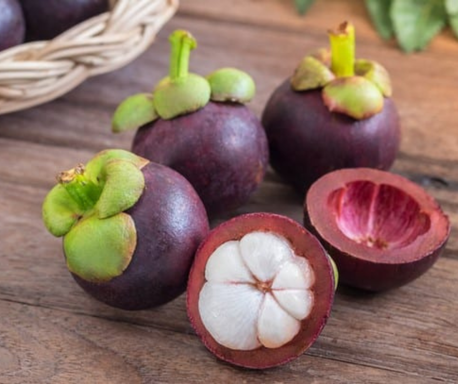 Mangosteen fruit - Thailand Travel Guide