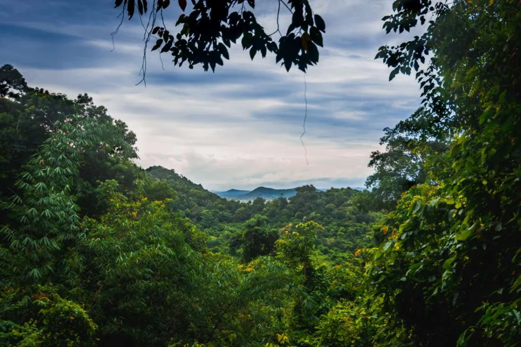 View from Kep Hill, Cambodia
