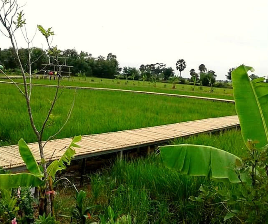 Surrounding of Phimai in Thailand