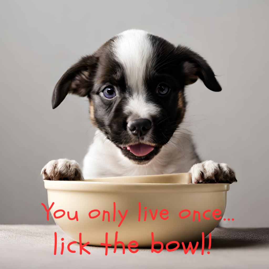 Funny food quote